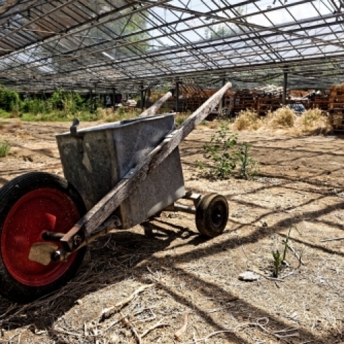 Serre abandonnée